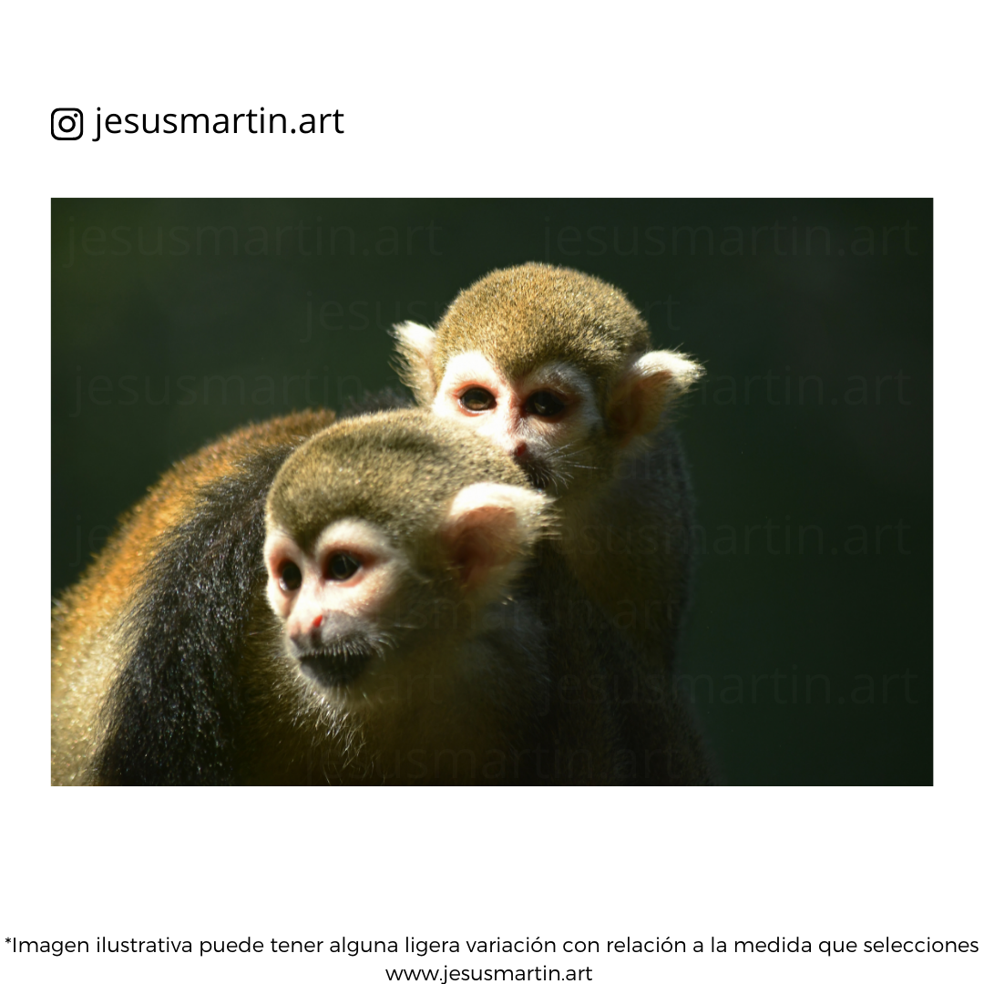 Hermandad - Imagen 2